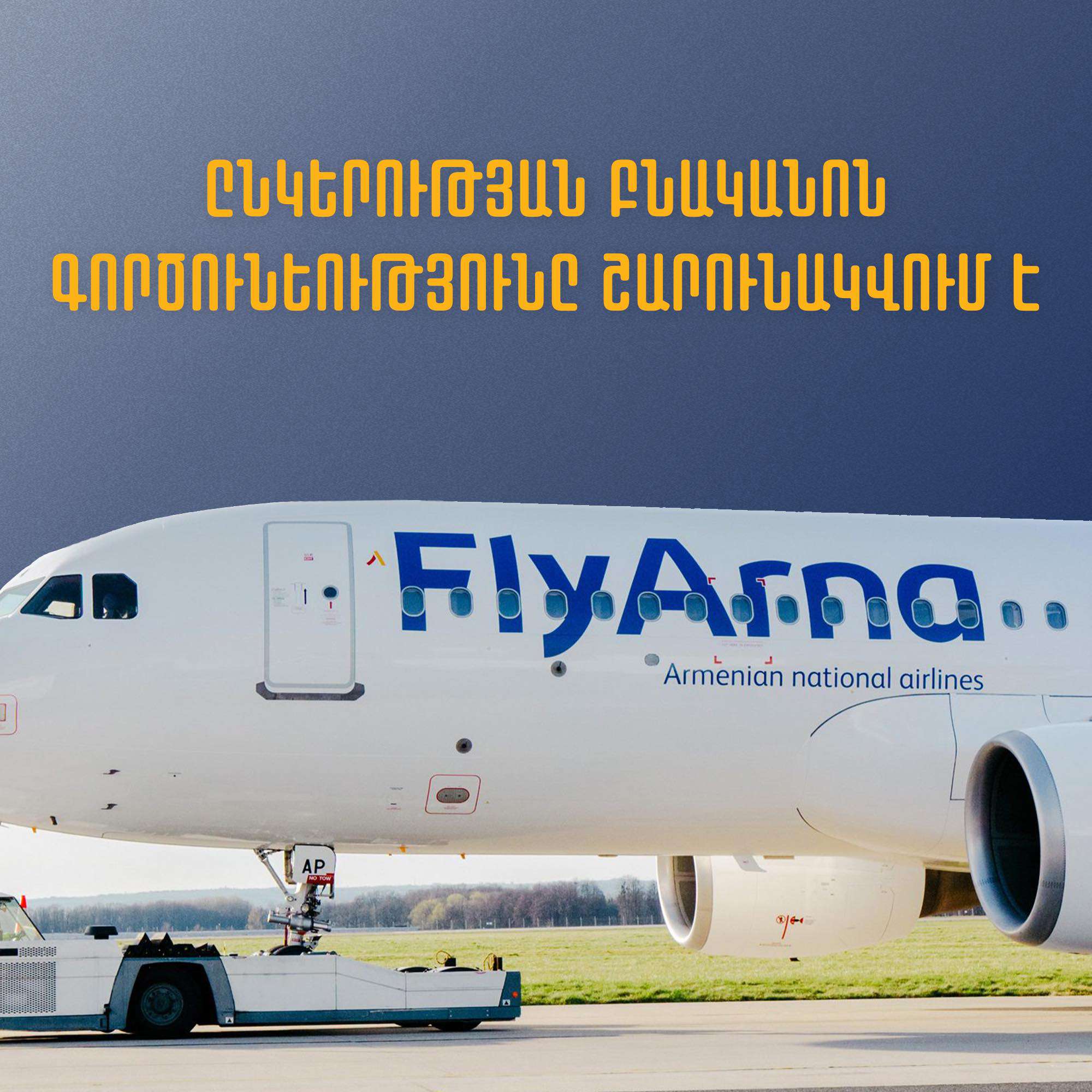 Авиакомпанией armenia. Армянская авиакомпания Flyarna. Бизнес Армения авиакомпания. Наклейка армянские авиалинии. Лучшие авиакомпании Армении рейтинг.